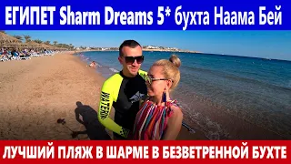 Jaz Sharm Dreams Resort 5* ХОРОШИЙ ОТЕЛЬ В ЕГИПТЕ  БУХТА ДЛЯ ЗИМНЕГО ОТДЫХА