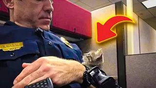 Cop Comforting A Homeless Kitten At The Police Station Has To Make A Very Tough Call