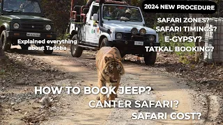 How to book Tadoba Safari online | Tadoba Jungle Safari | Canter Safari |