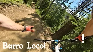 I Crashed on Burro Loco! // Silver Mountain Bike Park | JaysonTylerMTB