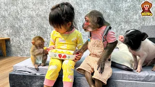 Monkey YiYi is very happy when she is with YoYo Jr and Ai Tran