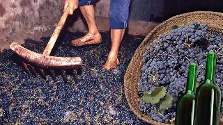 Artisanal wine from the crushing of the grapes. Traditional preparation of this fermented drink