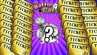 UTRATIL JSEM 3000 CAT FOODU, ABYCH NAŠEL... | The Battle Cats #15