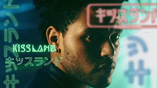 What Kiss Land Taught Me About Albums.