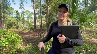 Wetlands inspection