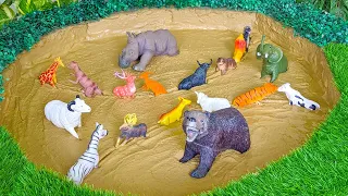 Muddy African Wild Animals & Farm Animals Toys Cleaning for Kids Fun Learning