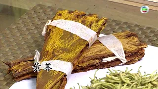 東張西望 | 治新冠病毒神藥 | 雙黃連口服液真有效？| 黃芩黃連