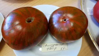 Редкие и экзотические томаты с выставки!!!