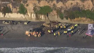 Encinitas sea-bluff collapse kills 1, injures 4 others