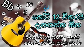 guitar fret boardඕන ගිටාර් එකක නෝට් හොයමු