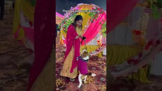 OMG Beagle dog attends wedding for the first time #shorts #explore #dogsofyoutube #dog #cute