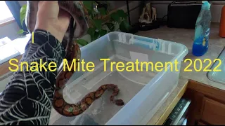 Snake Mite Treatment 2022