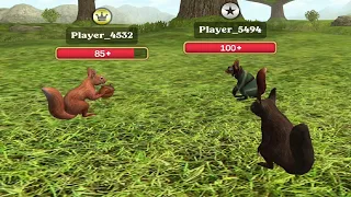 Squirrel Simulator 2 : Online 🐿️ - Play With Friends - Gameplay #2