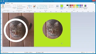 Как в Paint обрезать фото кругом