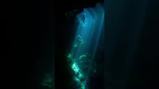 Diving "El Pit" Cenote - Tulum, Mexico