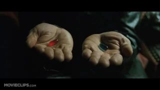 "All I am offering is the TRUTH" - The Matrix - Blue Pill or Red Pill