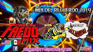 Furia Oaxaqueña Mix Chilenas Del Recuerdo Dj FredoMix 2019