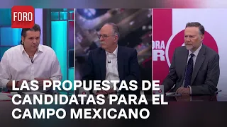 ¿Cómo perciben las candidatas presidenciales al campo mexicano? - Es la Hora de Opinar