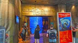 The Lost Chambers Aquarium - Atlantis, Dubai 4K
