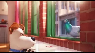 The Secret Life of Pets - Cinemark Ad