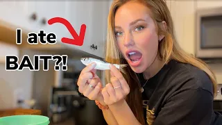 Eating BAIT! ALEWIVE MINNOWS - Gross or Delicious?? (Catch and Cook)