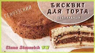 Бисквит для торта генуэзский шоколадный || Chocolate Genoese biscuit for cake || Elena Stasevich HM