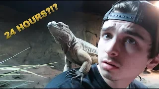 24 HOURS INSIDE OF REPTILE ENCLOSURE AT THE ZOO!