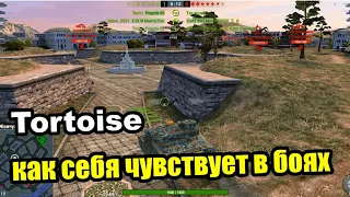 Wot Blitz / Обзор TORTOISE, на что он способен сегодня..