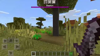 Minecraftta nasıl köye baskın yapılır