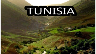 Enjoy life in Tunisia