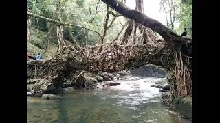 Mawlynnong - Meghalaya - Cleanest village in Asia - Living root bridge