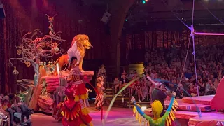 Dan the Star Man presents Festival of the Lion King FULL show in Disney Animal Kingdom