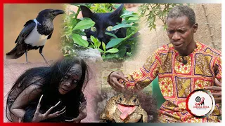 The Untold Mystery About “Kwakwadobi”:Never Joke With Those Animals Becos They Can Make or Destroy..