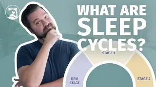 What Are Sleep Cycles? - Everything You Need To Know!
