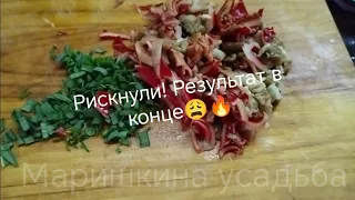 Первые грибы🤗 съедобные или нет😩