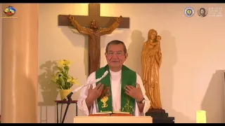 Is your life a vocation or a big vacation? | HOMILY 11 July 2021 with Fr. Jerry Orbos, SVD