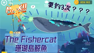 The Fishercat-Real recording of Catching Coral Whale(It took 3 times to catch it)