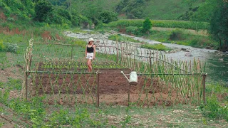 Building A New Life Episode 2 | Living In A Wooden House, Gardening, Growing Clean Vegetables