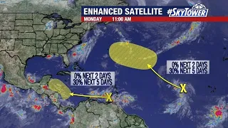 Tropical weather forecast: Aug 23, 2021