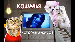 КОШАЧЬЯ ИСТОРИЯ УЖАСОВ | НЕ ОСТАВЛЯЙ КЛЮЧИ СОСЕДЯМ | Кевин, Билли, Ариела и Сладун одни дома НОЧЬЮ