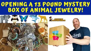 Opening an EPIC 13-Pound Mystery Box of Animal Jewelry to Resell on eBay!