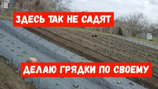 #763ЗДЕСЬ ТАК НЕ САДЯТ/ДЕЛАЮ ПО СВОЕМУ/ВЫ ПРОСИЛИ/Я ПОКАЗЫВАЮ#купилидомнаюге#переезднаюг