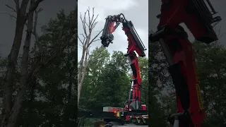 Palfinger Tree-Mek Arm Extension