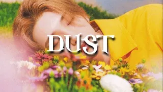 SEVENTEEN - DUST (Türkçe Çeviri)