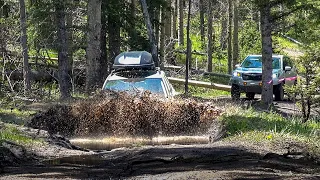 Subaru Forester Off Road Deep Mud