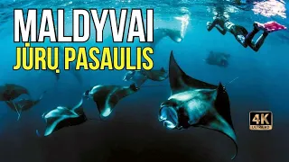 Maldyvai (2). Stulbinančios, gausios gyvūnų nardymo vietos (Topinės pasaulyje)