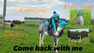 Come hack across the fields with me and felix, zoomies