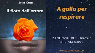 A galla per respirare - Il fiore dell'errore - Silvia Crisci