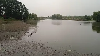 Винница Тяжилов ставок  самый чистый в городе.