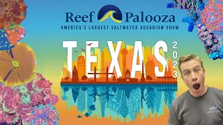 Every Coral At Reef-A-Palooza Texas 2023!